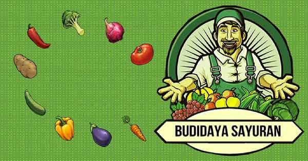 Release Aplikasi Budidaya Sayuran Berbasis Android